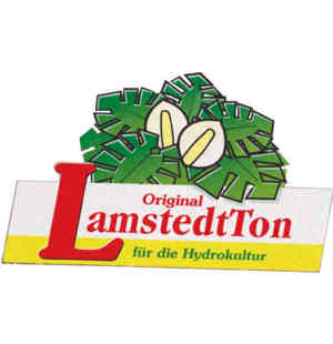 LemstedtTon Logo